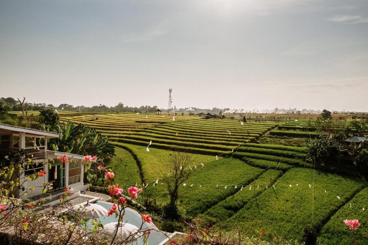 Boho Canggu Hotel Екстериор снимка